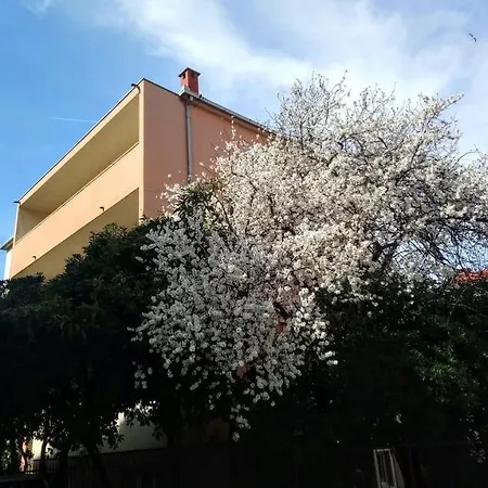 Symphony Garden: Modern, New Apartman *